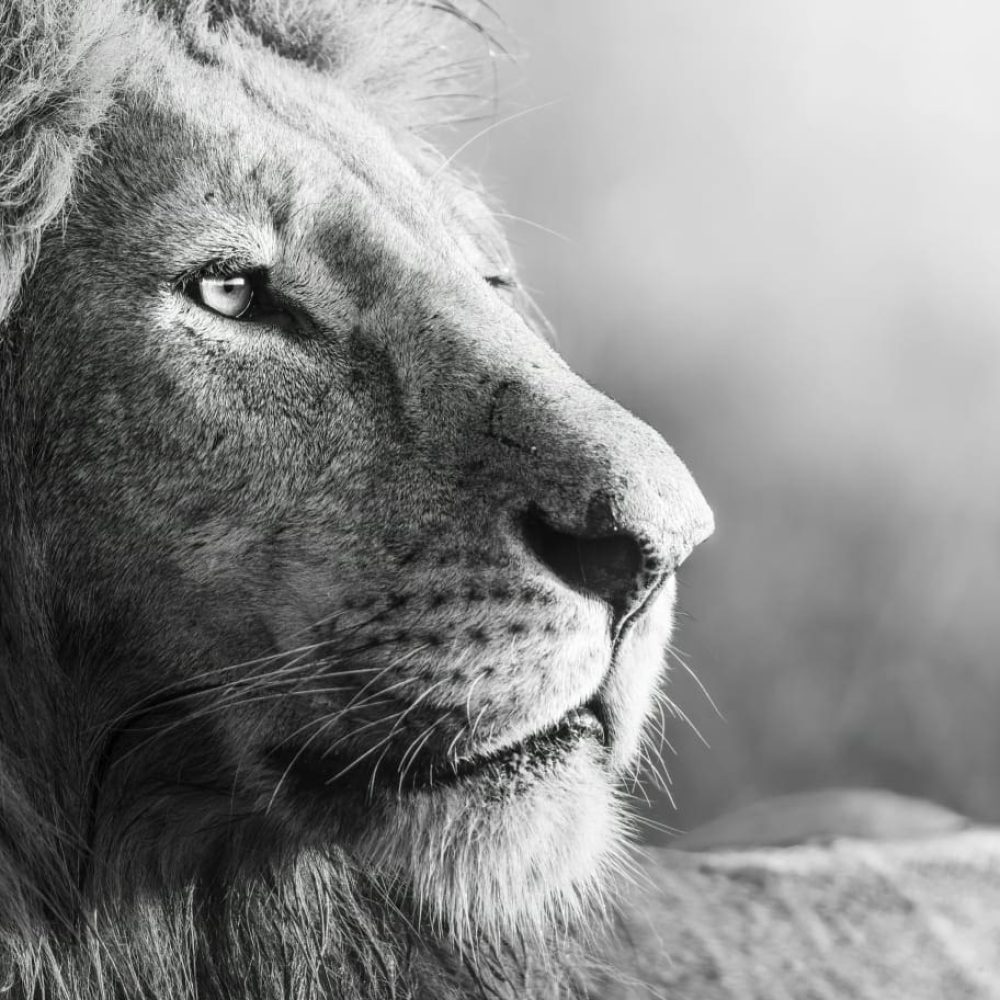 Moriah-Fragrances-story